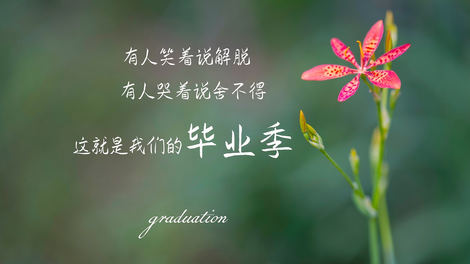 钢铁长城神兵天降，金玟哉铸就唯一神话，几内亚惊天翻盘震惊足坛